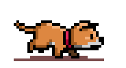 puppyboy